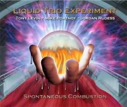 Liquid Tension Experiment : Spontaneous Combustion